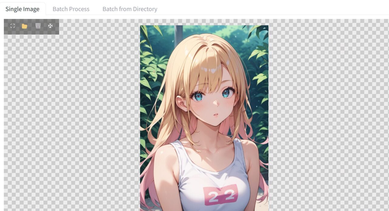 BiRefNetで処理する女性イラストをExtrasタブに読み込んだ画面