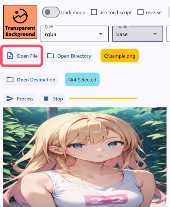 Transparent-BackgroundのOpen Fileで女性イラストを読み込んだ画面