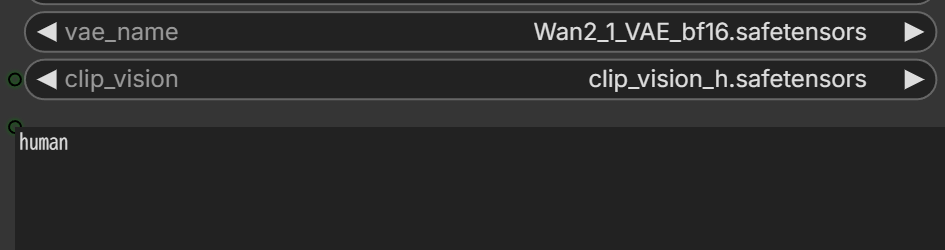 sam3_video_objectとsam3_image_objectにhumanを指定する