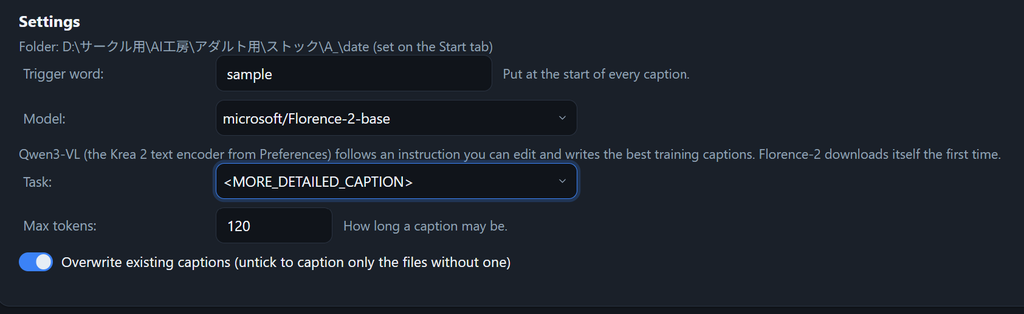Captionsタブの設定項目